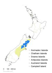 Veronica raoulii distribution map based on databased records at AK, CHR & WELT.
 Image: K.Boardman © Landcare Research 2022 CC-BY 4.0